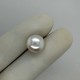 Pearl (Moti) 12.47 Ct Gem Quality Pearl (Moti) 12.47 Ct Gem Quality